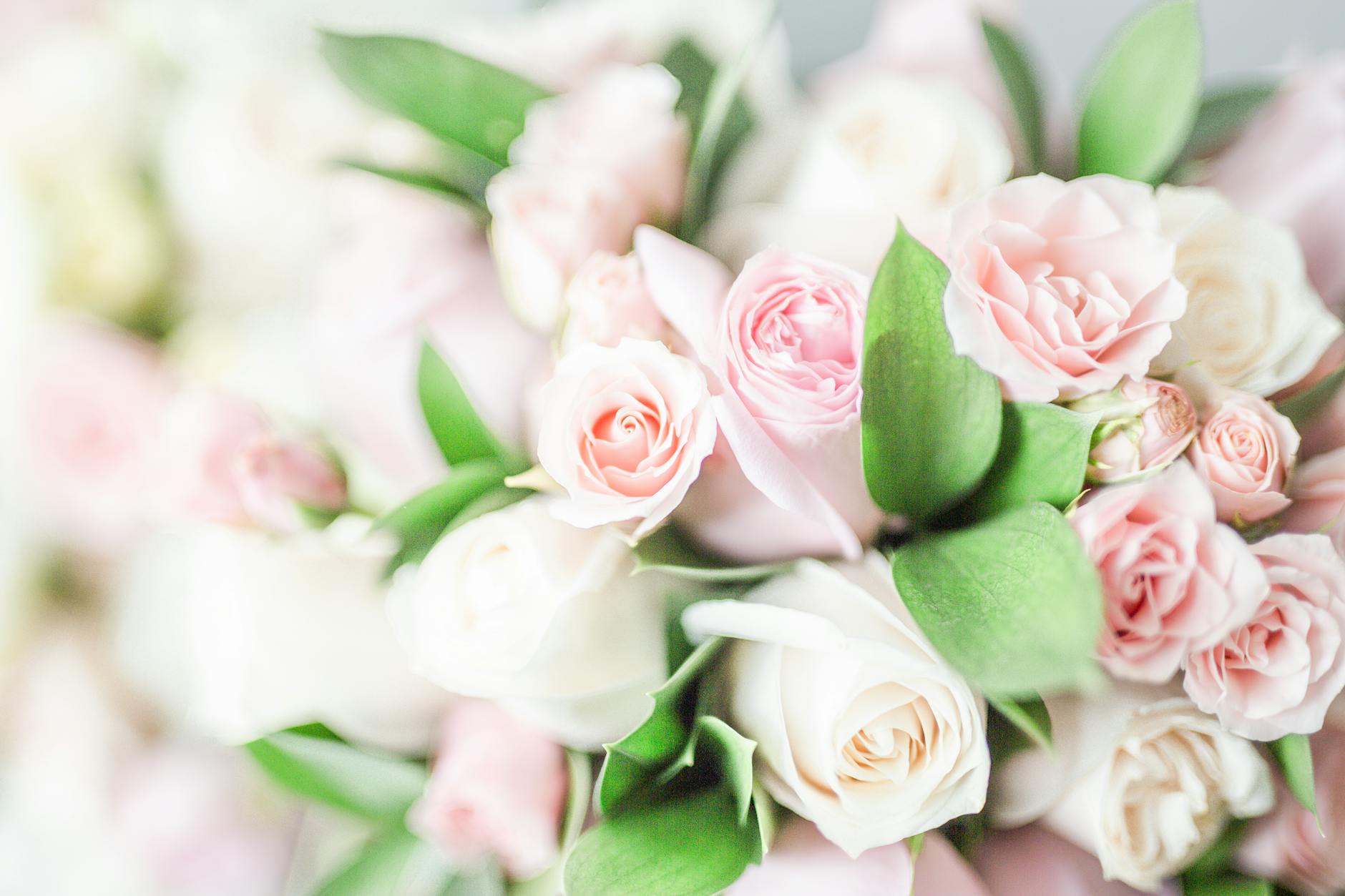 Frische Rosen-Arrangements