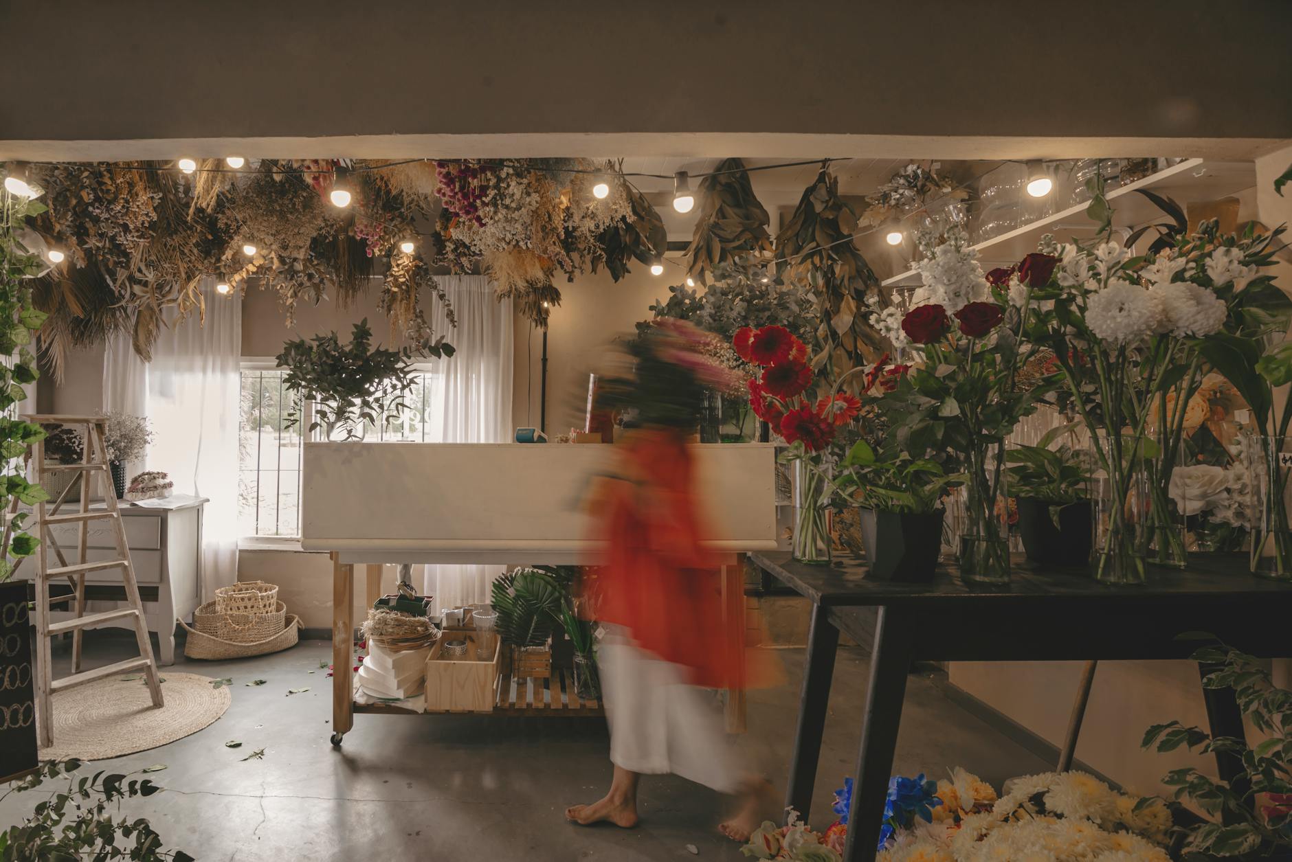 Blumen Irmgard — Willkommen